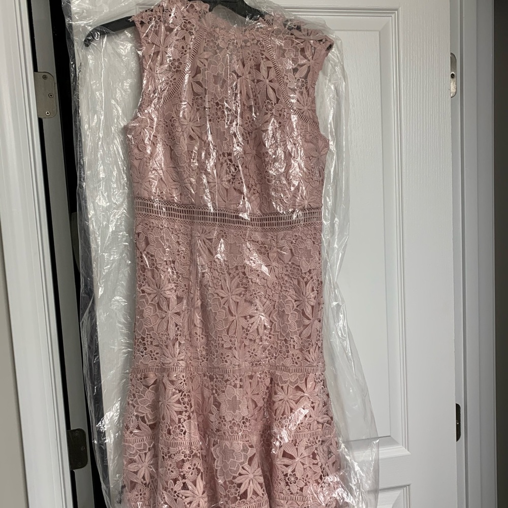Bardot Elise Lace Cocktail Dress